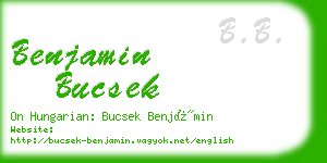 benjamin bucsek business card